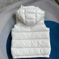 Cheap Moncler Down Feather Coat Sleeveless For Unisex #1369779 Replica Wholesale [$135.00 USD] [ITEM#1369779] on Replica Moncler Down Feather Coat
