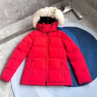 Cheap Canada Goose Down Feather Coat Long Sleeved For Women #1369820 Replica Wholesale [$205.00 USD] [ITEM#1369820] on Replica Canada Goose Down Feather Coat
