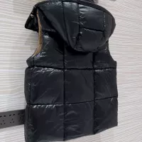 Cheap Moncler Down Feather Coat Sleeveless For Women #1369909 Replica Wholesale [$165.00 USD] [ITEM#1369909] on Replica Moncler Down Feather Coat