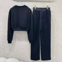 Cheap LOEWE Tracksuits Long Sleeved For Women #1370179 Replica Wholesale [$140.00 USD] [ITEM#1370179] on Replica LOEWE Tracksuits