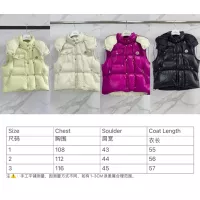 Cheap Moncler Down Feather Coat Sleeveless For Women #1371084 Replica Wholesale [$140.00 USD] [ITEM#1371084] on Replica Moncler Down Feather Coat