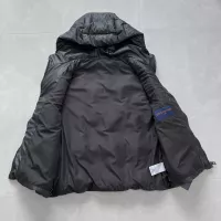 Cheap Louis Vuitton LV Down Feather Coat Sleeveless For Unisex #1371115 Replica Wholesale [$170.00 USD] [ITEM#1371115] on Replica Louis Vuitton LV Down Feather Coat