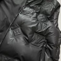 Cheap Louis Vuitton LV Down Feather Coat Sleeveless For Unisex #1371115 Replica Wholesale [$170.00 USD] [ITEM#1371115] on Replica Louis Vuitton LV Down Feather Coat