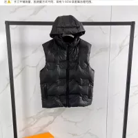 Cheap Louis Vuitton LV Down Feather Coat Sleeveless For Unisex #1371115 Replica Wholesale [$170.00 USD] [ITEM#1371115] on Replica Louis Vuitton LV Down Feather Coat