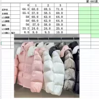 Cheap Moncler Down Feather Coat Long Sleeved For Women #1371166 Replica Wholesale [$160.00 USD] [ITEM#1371166] on Replica Moncler Down Feather Coat