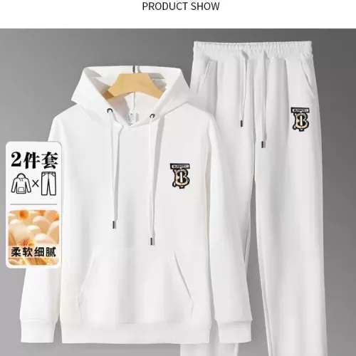 Burberry Tracksuits Long Sleeved For Men #1375001