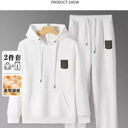 Christian Dior Tracksuits Long Sleeved For Men #1375013