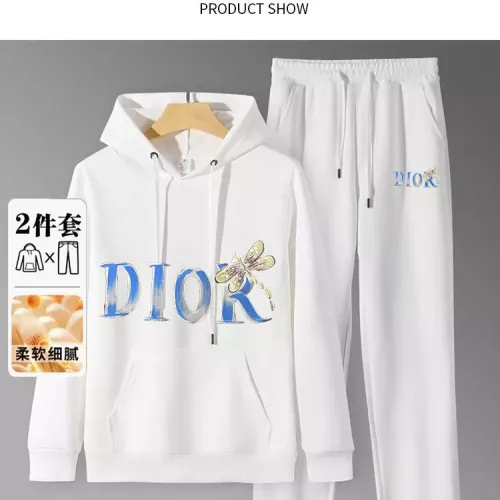 Christian Dior Tracksuits Long Sleeved For Men #1375077