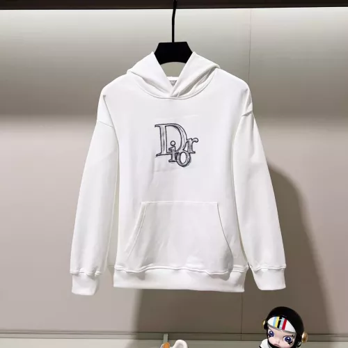 Christian Dior Hoodies Long Sleeved For Unisex #1377044