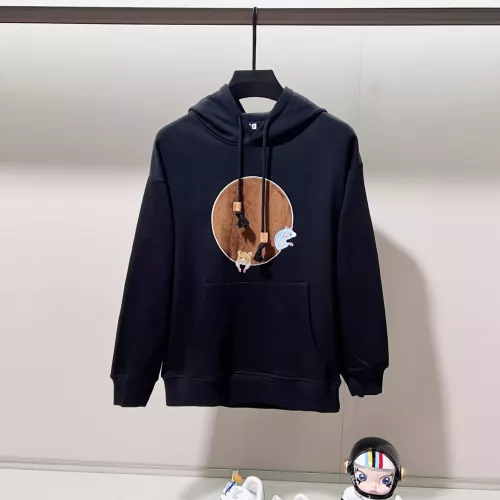 LOEWE Hoodies Long Sleeved For Unisex #1377101