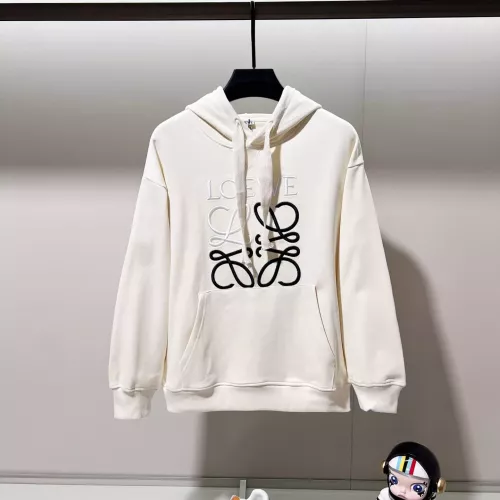 LOEWE Hoodies Long Sleeved For Unisex #1377102
