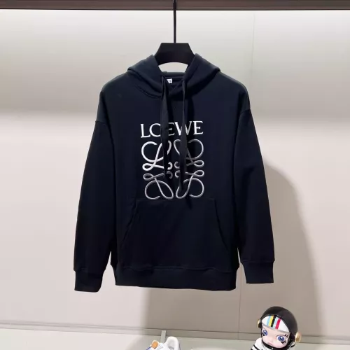 LOEWE Hoodies Long Sleeved For Unisex #1377105