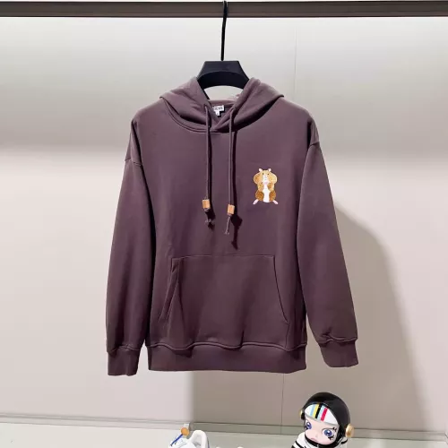 LOEWE Hoodies Long Sleeved For Unisex #1377107