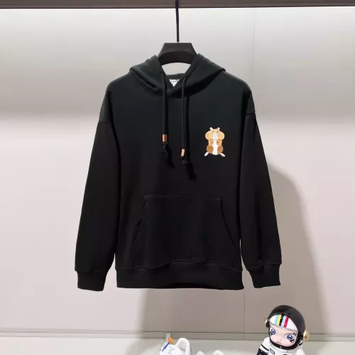 LOEWE Hoodies Long Sleeved For Unisex #1377109