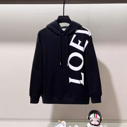 LOEWE Hoodies Long Sleeved For Unisex #1377115