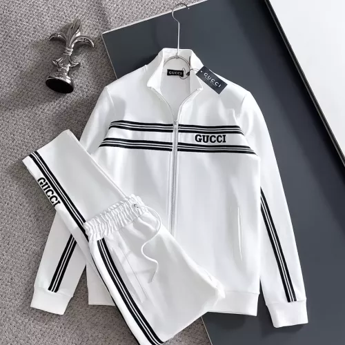 Gucci Tracksuits Long Sleeved For Men #1377317