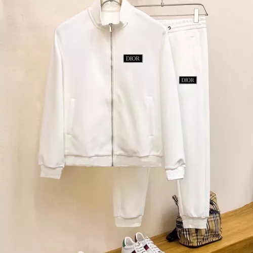Christian Dior Tracksuits Long Sleeved For Men #1377360