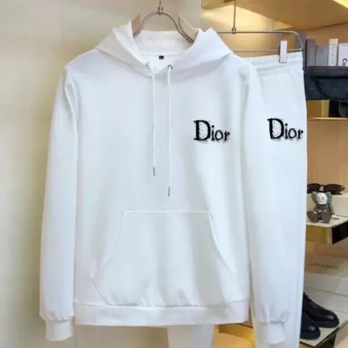 Christian Dior Tracksuits Long Sleeved For Men #1377364