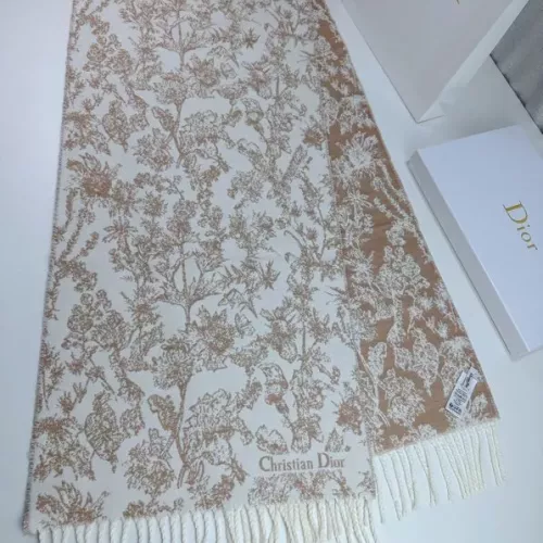 Christian Dior Scarf #1379557