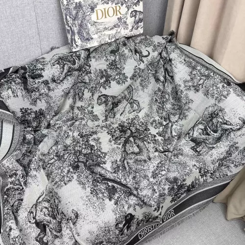 Christian Dior Scarf #1379610