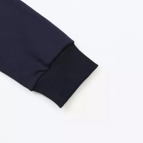 Cheap Ralph Lauren Polo Hoodies Long Sleeved For Unisex #1380251 Replica Wholesale [$52.00 USD] [ITEM#1380251] on Replica Ralph Lauren Polo Hoodies