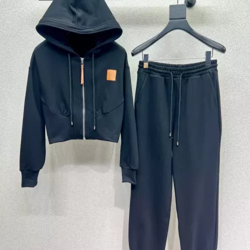 LOEWE Tracksuits Long Sleeved For Women #1380318
