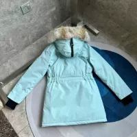 Cheap Canada Goose Down Feather Coat Long Sleeved For Women #1374553 Replica Wholesale [$205.00 USD] [ITEM#1374553] on Replica Canada Goose Down Feather Coat
