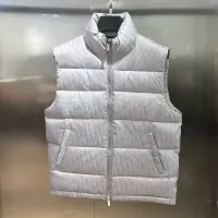 Cheap Christian Dior Down Feather Coat Sleeveless For Unisex #1374653 Replica Wholesale [$105.00 USD] [ITEM#1374653] on Replica Christian Dior Down Feather Coat