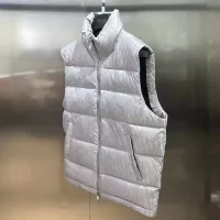 Cheap Christian Dior Down Feather Coat Sleeveless For Unisex #1374653 Replica Wholesale [$105.00 USD] [ITEM#1374653] on Replica Christian Dior Down Feather Coat
