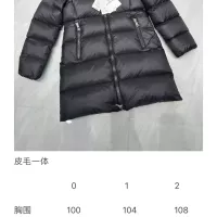 Cheap Moncler Down Feather Coat Long Sleeved For Women #1374676 Replica Wholesale [$225.00 USD] [ITEM#1374676] on Replica Moncler Down Feather Coat