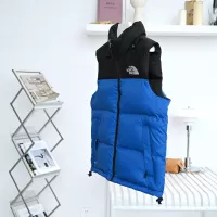 Cheap The North Face Down Feather Coat Sleeveless For Unisex #1374682 Replica Wholesale [$96.00 USD] [ITEM#1374682] on Replica The North Face Down Feather Coat