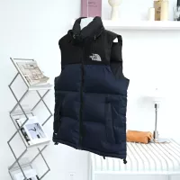 Cheap The North Face Down Feather Coat Sleeveless For Unisex #1374684 Replica Wholesale [$96.00 USD] [ITEM#1374684] on Replica The North Face Down Feather Coat