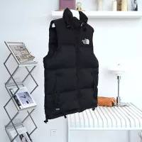 Cheap The North Face Down Feather Coat Sleeveless For Unisex #1374685 Replica Wholesale [$96.00 USD] [ITEM#1374685] on Replica The North Face Down Feather Coat