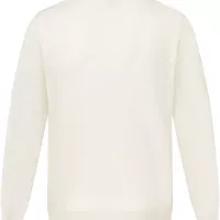 Cheap Christian Dior Sweaters Long Sleeved For Unisex #1375156 Replica Wholesale [$80.00 USD] [ITEM#1375156] on Replica Christian Dior Sweaters