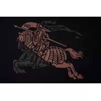 Cheap Burberry T-Shirts Short Sleeved For Unisex #1376955 Replica Wholesale [$34.00 USD] [ITEM#1376955] on Replica Burberry T-Shirts