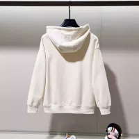 Cheap LOEWE Hoodies Long Sleeved For Unisex #1377106 Replica Wholesale [$68.00 USD] [ITEM#1377106] on Replica LOEWE Hoodies