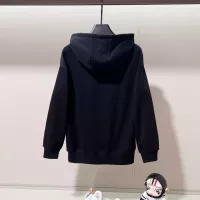 Cheap LOEWE Hoodies Long Sleeved For Unisex #1377109 Replica Wholesale [$68.00 USD] [ITEM#1377109] on Replica LOEWE Hoodies