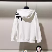 Cheap LOEWE Hoodies Long Sleeved For Unisex #1377110 Replica Wholesale [$68.00 USD] [ITEM#1377110] on Replica LOEWE Hoodies