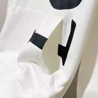 Cheap LOEWE Hoodies Long Sleeved For Unisex #1377110 Replica Wholesale [$68.00 USD] [ITEM#1377110] on Replica LOEWE Hoodies