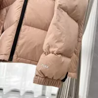 Cheap The North Face Down Feather Coat Long Sleeved For Unisex #1377647 Replica Wholesale [$105.00 USD] [ITEM#1377647] on Replica The North Face Down Feather Coat