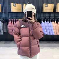 Cheap The North Face Down Feather Coat Long Sleeved For Unisex #1377648 Replica Wholesale [$105.00 USD] [ITEM#1377648] on Replica The North Face Down Feather Coat