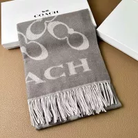 Cheap Coach Scarf #1379206 Replica Wholesale [$56.00 USD] [ITEM#1379206] on Replica Coach Scarf