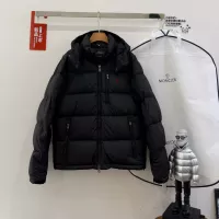 Cheap Ralph Lauren Polo Down Feather Coat Long Sleeved For Unisex #1379878 Replica Wholesale [$170.00 USD] [ITEM#1379878] on Replica Ralph Lauren Polo Down Feather Coat