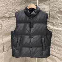 Cheap Christian Dior Down Feather Coat Sleeveless For Unisex #1380239 Replica Wholesale [$170.00 USD] [ITEM#1380239] on Replica Christian Dior Down Feather Coat