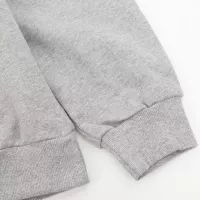 Cheap Celine Hoodies Long Sleeved For Unisex #1380242 Replica Wholesale [$48.00 USD] [ITEM#1380242] on Replica Celine Hoodies