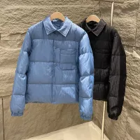 Cheap Christian Dior Down Feather Coat Long Sleeved For Unisex #1380249 Replica Wholesale [$225.00 USD] [ITEM#1380249] on Replica Christian Dior Down Feather Coat