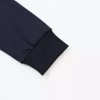 Cheap Ralph Lauren Polo Hoodies Long Sleeved For Unisex #1380251 Replica Wholesale [$52.00 USD] [ITEM#1380251] on Replica Ralph Lauren Polo Hoodies