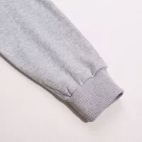 Cheap Ralph Lauren Polo Hoodies Long Sleeved For Unisex #1380253 Replica Wholesale [$52.00 USD] [ITEM#1380253] on Replica Ralph Lauren Polo Hoodies