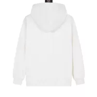 Cheap Ralph Lauren Polo Hoodies Long Sleeved For Unisex #1380254 Replica Wholesale [$52.00 USD] [ITEM#1380254] on Replica Ralph Lauren Polo Hoodies