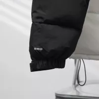 Cheap The North Face Down Feather Coat Long Sleeved For Unisex #1380268 Replica Wholesale [$140.00 USD] [ITEM#1380268] on Replica The North Face Down Feather Coat